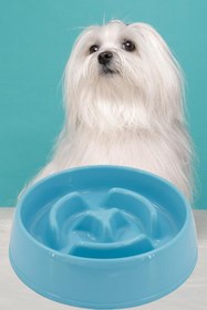 Resim Hype Store Evcil Hayn Yaş Mama Yeme Kabı Yaş Besleyici Kedi Köpek Mama Kabı Büyük Boy 775 Ml 1450 