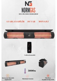 Resim Kış Güneşi Winter Sun 3000 