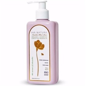Resim Iva Natura At Kestanesi ve Dağ Çileği Özlü Siyah Yüz Maskesi 250ml 