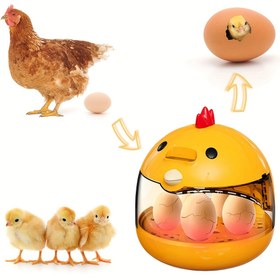Resim 1 adet Küçük Ev Otomatik Yumurta Çıkarma Makinesi - Küçük Ev Akıllı Çıkarma Makinesi Su Yatağı Yumurta Kuş Yumurta Sabit Sıcaklık Çıkarma Kutusu, USB Güç Modu, Pil Yok, Çalışma Voltajı ≤36V, Isıtma ve Soğutma Ekipmanı ile, Hamile Kadınlar, Çiftlikler, Pazarlar, Restoranlar için 