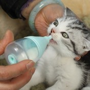 Resim Kedi Yavrusu Süt Şişesi Bakım İçin Evcil Hayvan Besleme Şişesi, Yavru Köpek Besleme Cihazı, Boğulma Önleyici Tasarım Evcil Hayvan Bakım Malzemeleri, Genç Kedi Yavrusu Besleme Cihazı 3 Yumuşak Yedek Meme Ucu ile 