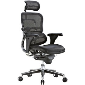 Resim Casella Enjoy Ergohuman Ergonomik Çalışma Koltuğu 