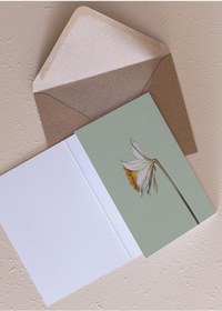 Resim The Mia Art Line Mini Tebrik Kart Seti Daffadil 10 X 14 Cm 