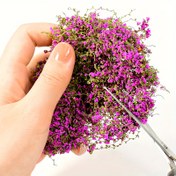 Resim Mini Asma ve Çiçek Model Seti - 3 Gram/ 0.105 Ons Yapay Yeşil Bitkiler, Model Evler, Peyzaj, DIY El Sanatları, Mikro Peyzaj Arka Plan Malzemeleri için Uygun 