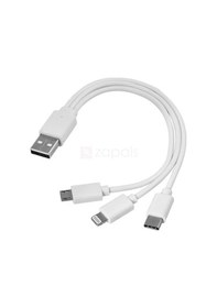 Resim 3 In 1 Usb Data Şarj Kablosu - Mikro Usb, 8 Pin , Usb Type-C (533634088) 