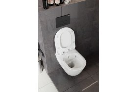 Resim Terra Rim-Off Asma Klozet ve Duck Duroplast Yavaş Kapanan Kapak Seti 