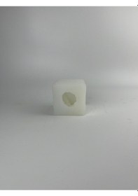 Resim Kaktüs Silikon Kalıp 