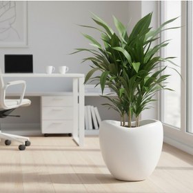 Resim Evinizin Atölyesi Yumurta Saksı Kirli Beyaz 52 Lt 52cm-round 