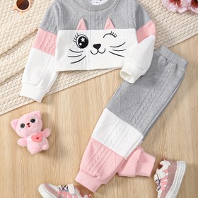 Resim 2 adet Kızlar için Sonbahar ve Kış Kıyafeti - Sevimli Kedi Nakışlı Uzun Kollu Kazak + 3D Kulaklar + Elastik Bel Pantolon Takımı, Yumuşak Pembe ve Gri Rahat Oyun Kıyafeti, Gençler için, Gençler için Oyun Kıyafeti, Zihinsel Gençler için Moda, Esnek Olmayan Kumaş, Dış Mekan için 