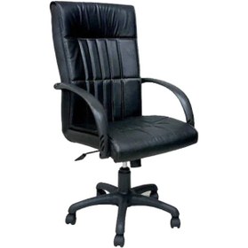 Resim Koltukstilim Stella Pls Müdür Koltuğu Diğer 