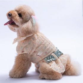 Resim Sarı Valencia Çiçek Desenli Elbise Kedi Köpek Elbisesi - Kedi Köpek Kıyafeti 