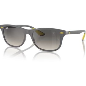 Resim Ray-Ban Rayban 0RB4607M GU+00DCNEU+015E F60811 55 erkek 