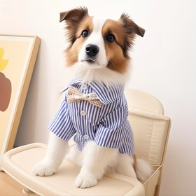 Resim Köpekler için Renkli Şeritli Yelekli Tişört, Rahat ve Şık, Tüm Mevsimler İçin, Doğum Günü Partileri ve Günlük Kullanım İçin, 3 Renk 5 Beden, Küçük Köpekler İçin, Köpek Giysileri, Küçük Köpek Giysileri, Evcil Hayvan Modası, Şık Evcil Hayvan Giyimleri, Hafif Kumaş, Yumuşak Evcil Hayvan Giyimleri, Evcil Hayvan Tişörtü, Moda Evcil Hayvanlar 