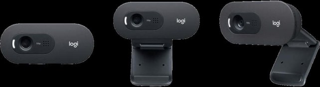 Resim LOGITECH C505 WEBCAM HD - SİYAH 960-001364 