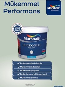 Resim Silikonlu Özel Mat Silinebilir Iç Cephe Duvar Boyası 0.75 Lt Kuzey Yıldızı Uyumlu 0,75 L 