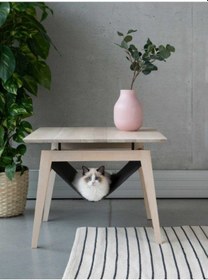 Resim Minimalist Ahşap Yan Sehpa Ve Gizli Kedi Hamağı 