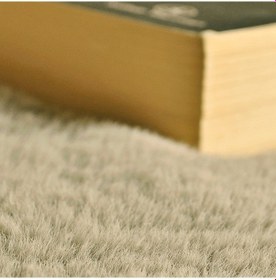 Resim Yıkanabilir Kaymaz Taban Post Peluş Çocuk Halısı Vizon 