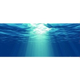 Resim Kanki Pet Akvaryum Arka Fon Yapıştırma 155x65 Cm Kp1556529 