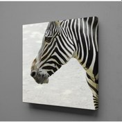 Resim Zebra Kafası Kanvas Tablo 