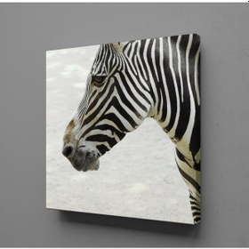Resim Zebra Kafası Kanvas Tablo 