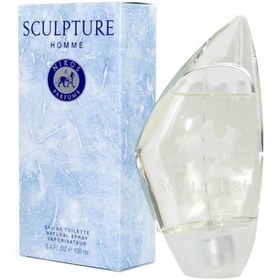 Resim Nikos Sculpture Erkek Parfüm EDT 100 ML 