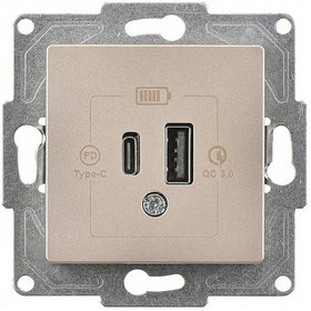 Resim Günsan Eqona Metalik Bej 2 Çıkışlı USB Şarj Prizi 20W Type A + Type C Mekanizma 