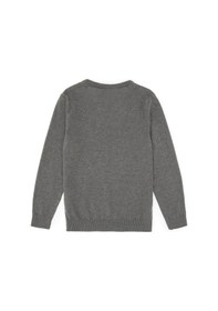 Resim U.s. Polo Assn. Erkek Çocuk Gri Melanj Kazak /triko 50315611-vr086 Gri Melanj 