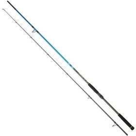 Resim Daiwa Spitfire Seabass Cf 244 Cm 10-35 Gr Spin Kamış 
