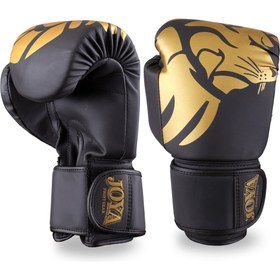 Resim Joya Lion Genç Çocuk Boks Kick Boks Muay Thai Eldiveni - 10 OZ 