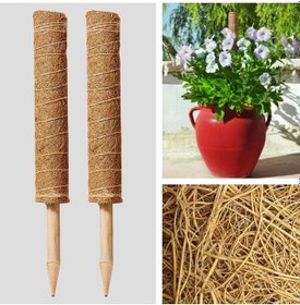 Resim Padalink Klimatik Bitkiler İçin Hindistan Cevizi İpi Sütunu Seti - Destek, Besin Ve Nem Saklama Fonksiyonu 2 Adet Sütun, 6 Klem, 2 İp, 2 Etiket 