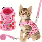 Resim 2 Adet Yumuşak Kedi Tasması ve Tasma Seti, Yürüyüş ve Kaçışa Karşı Koruyucu, Ayarlanabilir Yumuşak Yelek Tasması, Kolay Kontrol, Nefes Alabilir Ayarlanabilir Kedi Tasması 