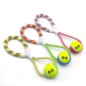 Resim İpli Köpek Oyun Topu 