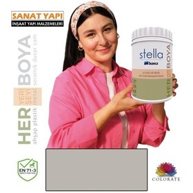 Resim Su Bazlı Akrilik Boya 500ml Diğer 