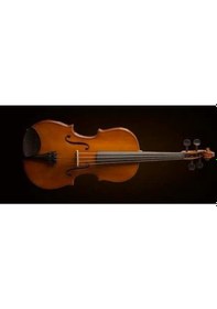 Resim Valencia Va16041 Viyola 16 İnç Öğrenci Seti 40.6 Cm - Hafif Kutu - Başlangıç İçin İdeal 