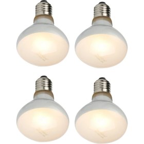 Resim Sunshinee nomoypet 4 Paket Sürüngen Uvb Uva Isı Lambası Ampul Sürüngenler Için Gerçekten Güneş Gibi Parlak Isı Sürüngenler Için, Amfibi (100 W) (Yurt Dışından) 