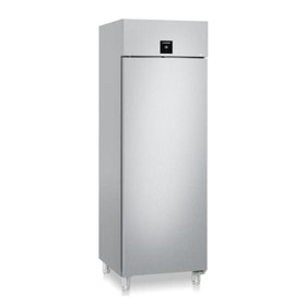 Resim Liebherr FFPSvg 6501 Dik Tip Tek Kapılı Derin Dondurucu, 597 L 