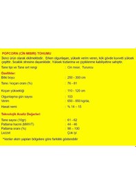 Resim AGRodal Tarım Patlak Mısır Popcorn Cin Mısır Tohumu 50 Adet Tohum 