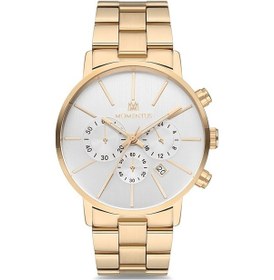 Resim Momentus CC238G-02SG Erkek Kol Saati 