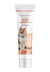 Resim İmmün Sistem Destekleyici Kedi Vitamin Takviyesi 100 Ml 