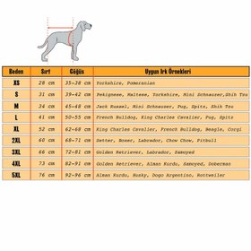 Resim Yumuşak Polarlı Papyonlu Yeşil Köpek Kıyafeti - S 