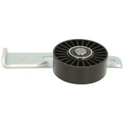 Resim R19 - Clio - Megane Alternatör Gergi Rulmanı 7700273640 