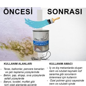 Resim EBRUS TREND RUTUBET VE NEM ÖNLEYİCİ 3,5 KG-Beyaz 