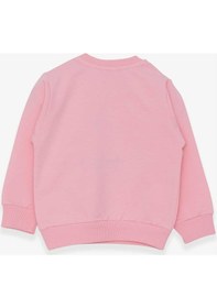 Resim Breeze Kız Çocuk Sweatshirt Nakışlı Pullu 1-4 Yaş, Pudra ((553858002) Çok Renkli 