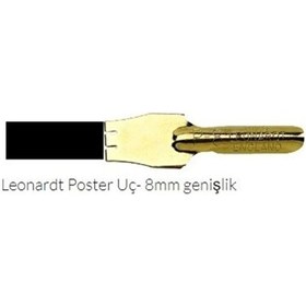 Resim Leonardt Poster 8mm 