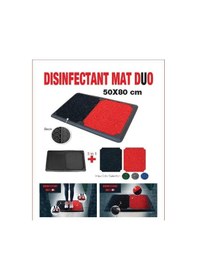 Resim Çift Havuzlu Kapı Önü Kauçuk Hijyen Paspası 