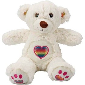 Resim 1003184 Sunman Gökkuşağı Kalpli Peluş Ayı 30 Cm 