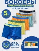 Resim Pony Kids Çocuk Ve Gençler İçin Boksör Külot 5 Parça Set 180286145 Mavi 