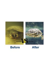 Resim Tongxida Kaplumbağa Tankı Filtresi Ql-05 - Sessiz Şelale Tipi Filtre + 2 Adet Filtre Elemanı 