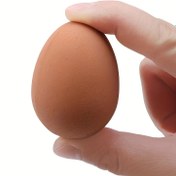 Resim 1 adet Gerçekçi Şaka Yumurta Kauçuk Zıplayan Top - Yenilik Sahte Zıplama Topu, Çiftlik Tavuk Yuvası Çıkartma Modeli, Evcil Hayvan Oyuncak Şaka, Karışık Renk, Yumurta Oyuncak 