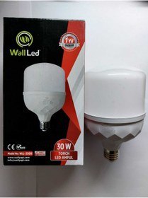 Resim Home DEMİR ELEKTRİK - WALLED 30 WATT TORCH AMPUL 